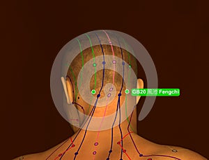 Acupuncture Point GB20 Fengchi, 3D Illustration, Brown Background