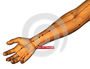 Acupuncture Point HT7 Shenmen, 3D Illustration, White Background