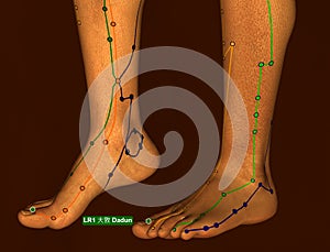 Acupuncture Point LR1 Dadun, 3D Illustration, Brown Background