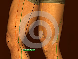 Acupuncture Point LR7 Xiguan, 3D Illustration, Brown Background