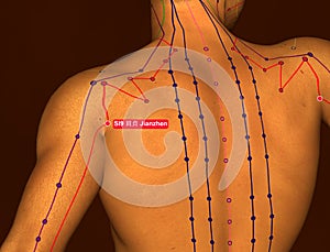 Acupuncture Point SI9 Jianzhen, 3D Illustration, Brown Background