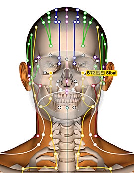 Acupuncture Point ST2 Sibai, Stomach Meridian