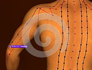 Acupuncture Point TE10 Tianjing, 3D Illustration, Brown Background