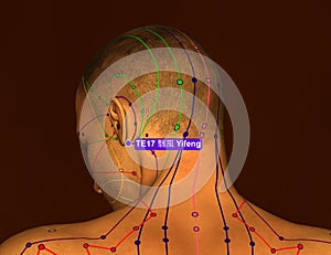 Acupuncture Point TE17 Yifeng, 3D Illustration, Brown Background