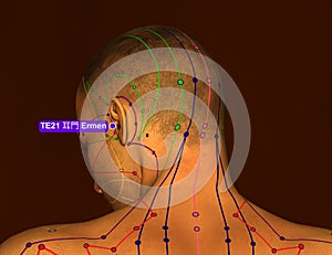 Acupuncture Point TE21 Ermen, 3D Illustration, Brown Background