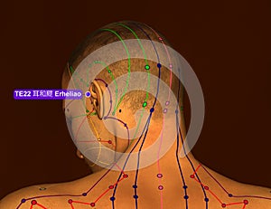 Acupuncture Point TE22 Erheliao, 3D Illustration, Brown Backgrou