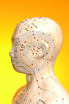 Acupuncture Points And Meridians