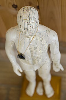 Acupuncture statue showing meridians photo