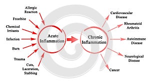 Acute and Chronic Inflammation