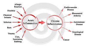 Acute and Chronic Inflammation photo
