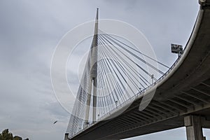 Ada bridge in Belgrade