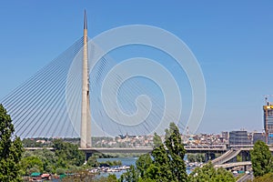 Ada Bridge Belgrade