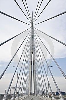 Ada bridge. Belgrade