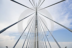 Ada bridge. Belgrade