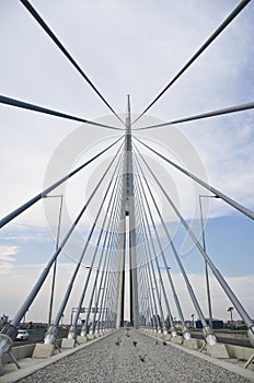 Ada bridge. Belgrade