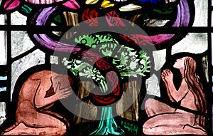 Adam and Eve in Paradise (stained glass)