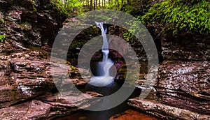 Adam's Falls, tucked in a small gorge in Ricketts Glen State Park