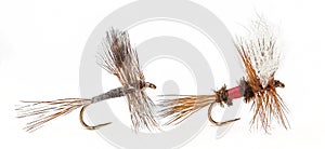 The Adams and Royal Wulff Dry Flies photo