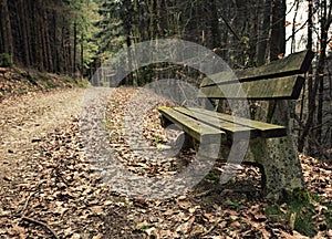 Adandoned wooden bench