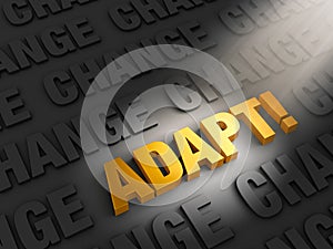 Adapt to Confront Change photo