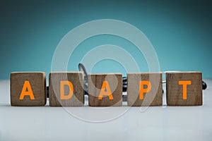 Adapt wood type blocks on blue