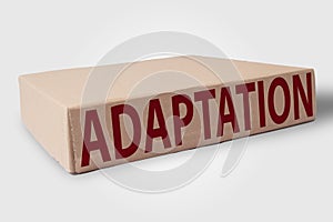 Adaptation, business term concept