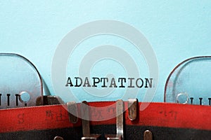 Adaptation concept view