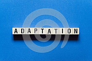 Adaptation word concept on cubes photo