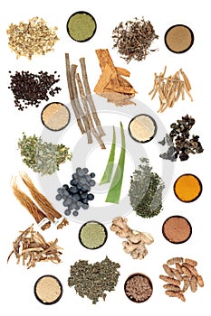 Adaptogen Food Selection