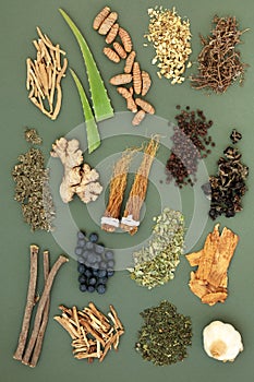 Adaptogen Food Selection