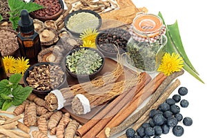 Adaptogen Herbal Medicine and Food Selection