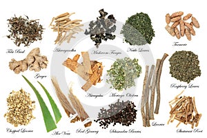 Adaptogen Herbs and Spices