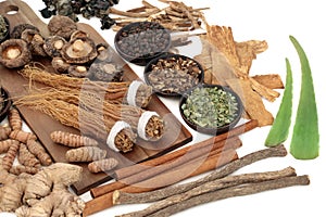 Adaptogen Herbs and Spices