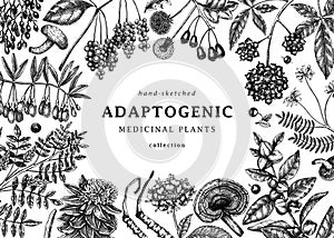 Adaptogenic plants background. Hand-sketched medicinal herbs, weeds, berries, leaves frame design. Perfect for brands, label,