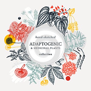 Adaptogenic plants round wreath in collage style. Hand-sketched medicinal herbs, weeds, berries, leaves trendy card design. Hand