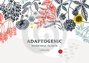 Adaptogenic plants trendy background in collage style. Hand-sketched medicinal herbs, weeds, berries, leaves frame design. Hand