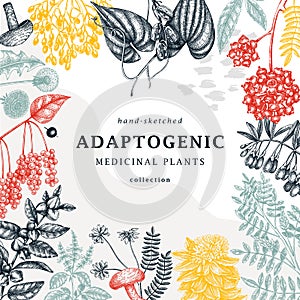 Adaptogenic plants trendy card in collage style. Hand-sketched medicinal herbs, weeds, berries, leaves frame design. Adaptogens.