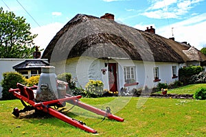 Adare