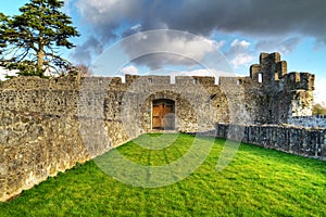 Adare Castle interiors