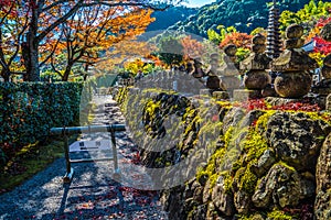 Adashino Nenbutsu-ji Temple, Tokyo