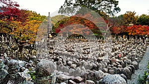 adashino nenbutsuji at autumn, Arashiyama