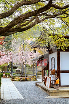 Adashino Nenbutsuji Temple founded in 811 situated on up hill and slightly distanced from the major