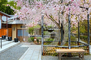 Adashino Nenbutsuji Temple in Kyoto, Japan