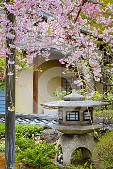 Adashino Nenbutsuji Temple in Kyoto, Japan