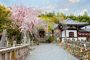 Adashino Nenbutsuji Temple in Kyoto, Japan