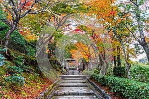 Adashinonenbutsuji temple in autumn, Kyoto in Japan