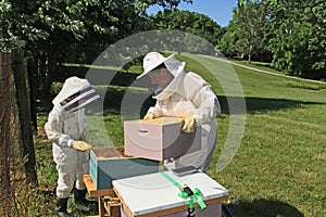 Adding Another Hive Box to a Beehive