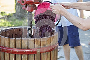 Adding grapes to a an old wooden manual wine press.