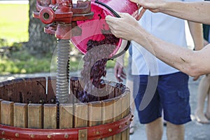 Adding grapes to a an old wooden manual wine press.