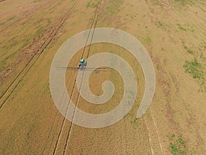 Adding herbicide tractor on the field of ripe wheat. View from above.